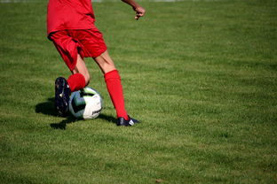 爱游戏体育在线赛事-国脚待遇结构调整引导更多球员留在国内发展，国家队国脚